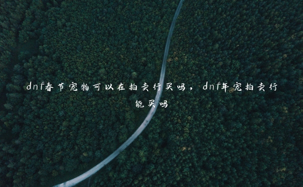 dnf春节宠物可以在拍卖行买吗，dnf年宠拍卖行能买吗