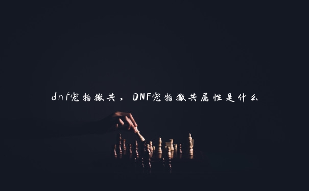 dnf宠物撒共，DNF宠物撒共属性是什么