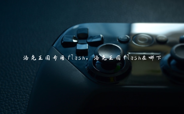 洛克王国专用flash，洛克王国flash在哪下