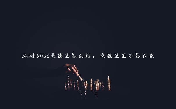 风剑boss桑德兰怎么打，桑德兰王子怎么杀