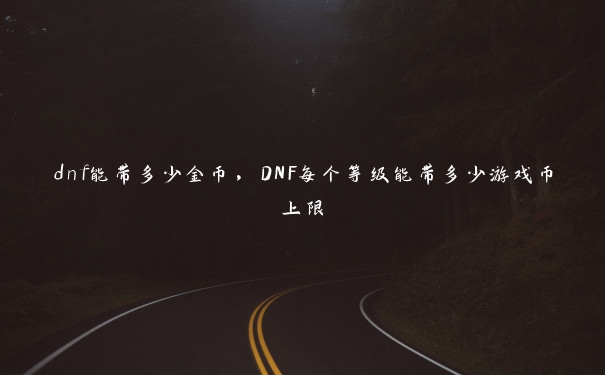 dnf能带多少金币，DNF每个等级能带多少游戏币上限