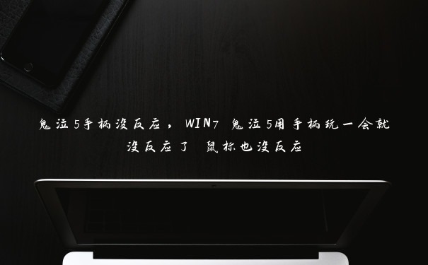 鬼泣5手柄没反应，WIN7 鬼泣5用手柄玩一会就没反应了 鼠标也没反应