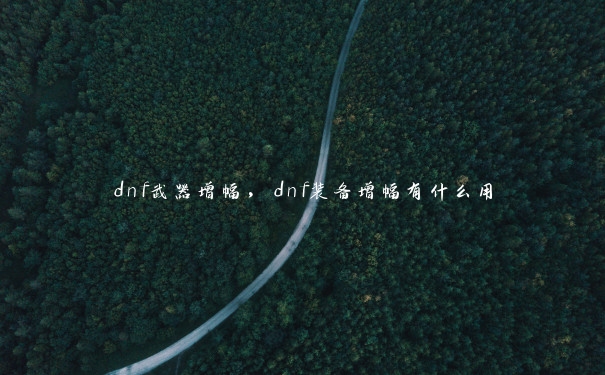 dnf武器增幅，dnf装备增幅有什么用