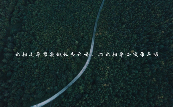 无相之草需要做任务开吗，打无相草必须带草吗